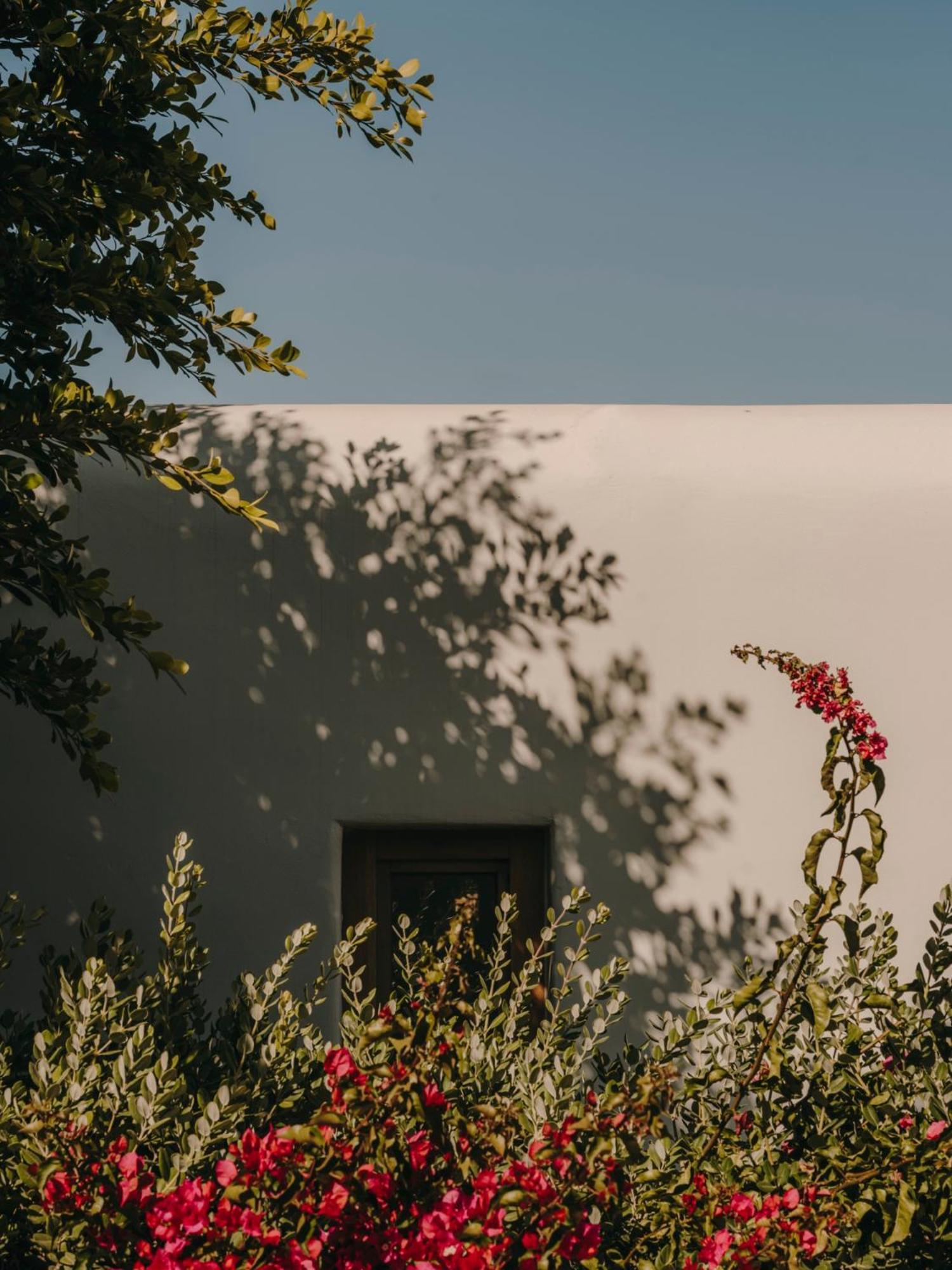 The Wild By Interni Hotel Kalafatis Exterior foto
