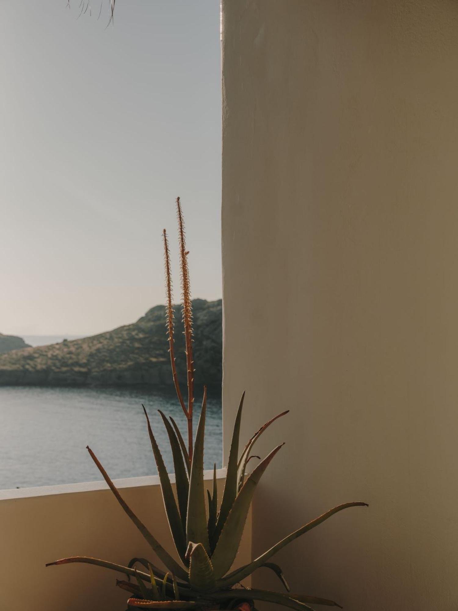 The Wild By Interni Hotel Kalafatis Exterior foto